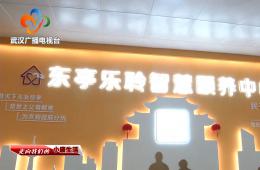中宣部采访团到访武汉东亭社区365电子游戏智慧颐养中心
